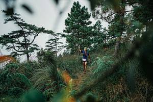 BIB: 
                            <button type="button" onclick="openModal(25258497)" class="btn btn-primary btn-sm float-right btn-popup" data-toggle="modal" data-target=".modal-high-quality">
                        <i class="fas fa-shopping-cart"></i> Add to Cart
                    </button>
                                            <button type="button" onclick="isThisMe(25258497, true)" class="btn btn-success btn-sm float-right btn-popup btn-isme hidden" data-toggle="tooltip" data-placement="bottom" title="นี่คือรูปของคุณใช่ไหม คลิกที่นี่เพื่อเอาเข้าอัลบั้ม">
                        <i class="fas fa-plus"></i> Add to album
                    </button>
                    <button type="button" onclick="isThisMe(25258497, false)" class="btn btn-warning btn-sm float-right btn-popup btn-isnotme hidden">
                        <i class="fas fa-ban"></i> Remove from album
                    </button>